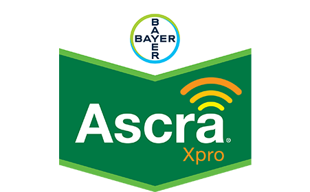 Ascra Xpro